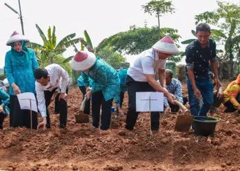 Percepatan Penanganan Stunting, Pj Gubernur Banten Al Muktabar Gencarkan Pemanfaatan Pangan Lokal