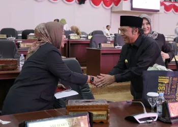 Pemantapan Daya Saing Daerah Menjadi Fokus Penyusunan KUA-PPAS APBD 2024*