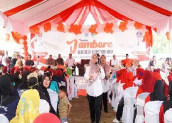 Kader Posyandu Membantu Tenaga Kesehatan, Tekan AKI dan AKB