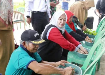 Sekolah Lapang: Metode Menggali Potensi Pertanian dan Peningkatan Kualitas SDM Petani
