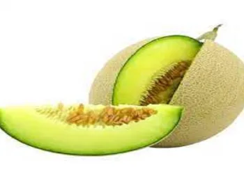 Manfaat Buah Melon Dan Manfaatnya Bagi Kesehatan