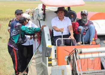 Panen Raya di Tanara, Pj Gubernur Banten Al Muktabar : Bagian Ekspedisi Reformasi Birokrasi Berdampak