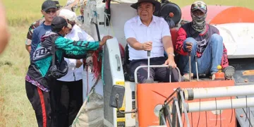 Panen Raya di Tanara, Pj Gubernur Banten  Al Muktabar : Bagian Ekspedisi Reformasi Birokrasi Berdampak