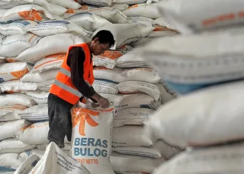 Bulog Sub Divre Tangerang Siapkan Stok Beras 15 Ribu Ton, Harga Eseran tertinggi Nyaris Tembus Rp 11 Ribu