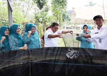 Pj Gubernur Banten Al Muktabar Beberkan Manfaat Olahan Ikan Lele dalam Penanganan Stunting