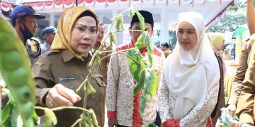 Capai Swasembada Pangan, Bupati Serang Dorong Ekspor Hasil Pertanian