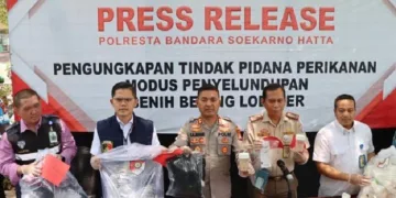 Polisi Gagalkan Penyelundupan Ratusan Ribu Benih Lobster Rp 11 Miliar Lebih ke Singapura di Bandara Soetta Tangerang