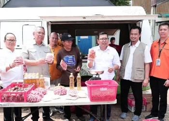 Pemkot Tangerang Selatan Kendalikan Inflasi, Kemiskinan Ekstrem dan Stunting, Lewat Inovasi Pangan