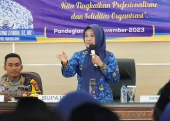 Bupati Irna : Anggota Korpri Wajib Berakhlak dan Menjaga Nilai Dasar Pancasila
