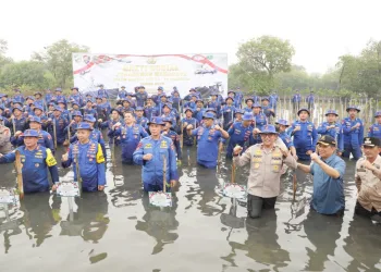 Sambut HUT Ke-73 Polairud, Kabaharkam Polri Tanam Mangrove dan Bersih-bersih Pantai Tanjung Pasir Tangerang