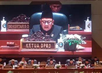 Li Claudia Chandra Tak Hadiri Rapat Paripurna HUT Ke-15 Kota Tangsel, Ketua DPRD: Sakit