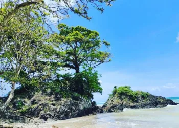 Menteri ESDM Tetapkan Geopark Nasional Ujung Kulon di Banten