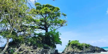 Menteri ESDM Tetapkan Geopark Nasional Ujung Kulon di Banten