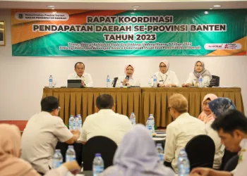 Optimalisasi Pendapatan Daerah Untuk Pelayanan Lebih Baik