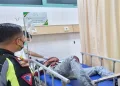 Tawuran Pecah di Pondok Aren Tangerang Selatan, Satu Orang Luka di Kepala, Sikut dan Jari Tangan