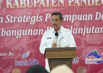 DWP Miliki Peran Penting Dalam Pembangunan Daerah Berkelanjutan