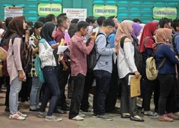 Mengoptimalkan Peran UMKM dalam Pengurangan Angka Pengangguran