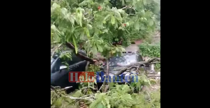 4 Mobil Tertimpa Pohon Tumbang di Cilenggang Serpong, Air Genangi Puluhan Rumah di Citra Prima Serpong Keranggan