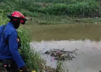 Kabar Penampakan Buaya di Kali Sabi Kota Tangerang Resahkan Warga