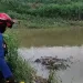 Kabar Penampakan Buaya di Kali Sabi Kota Tangerang Resahkan Warga