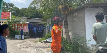 Petugas Damkar Tangsel Gagal Tangkap Monyet Liar di Momonggor Keranggan, Dilanjutkan Senin