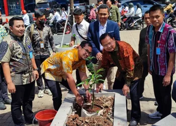 KPU Tangsel Sebar 26.900 Bibit Pohon, Berharap Dapat Mengganti 3,12 Ton Kertas