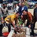 KPU Tangsel Sebar 26.900 Bibit Pohon, Berharap Dapat Mengganti 3,12 Ton Kertas