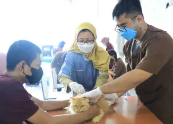 Pemkot Tangerang Cegah Rabies Dengan Gratiskan Vaksinasi Hewan Peliharaan