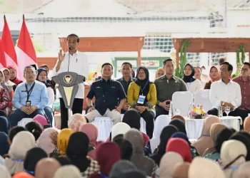 Presiden Jokowi Apresiasi Keberhasilan PNM Mekaar Angkat Derajat Perempuan Prasejahtera
