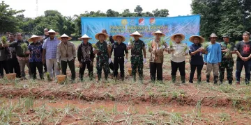 Petani Tangerang Selatan Sukses Panen Bawang Merah Hingga Ratusan Kilogram