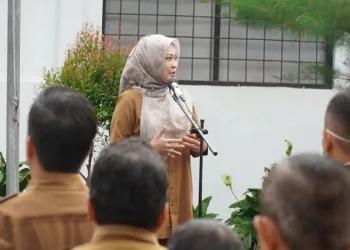 Bupati Irna Akan Terus Perjuangkan Nasib Honorer