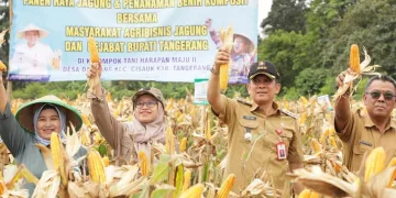 Kisah Sukses Desa Dangdang Cisauk: Panen Jagung Hibrida dan Lahirnya Pusat Inovasi Pertanian