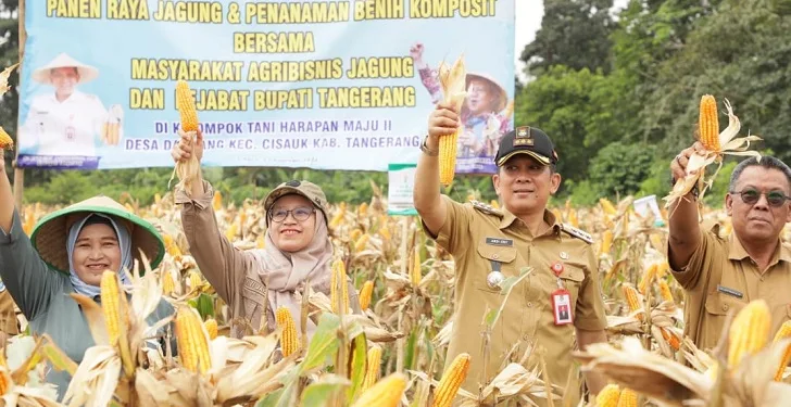 Kisah Sukses Desa Dangdang Cisauk: Panen Jagung Hibrida dan Lahirnya Pusat Inovasi Pertanian