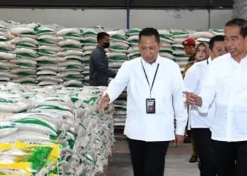 Jokowi Dikabarkan akan Bagikan Bantuan Pangan di Serpong Tangerang Selatan Hari Ini