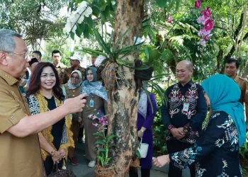 Benyamin Davnie Kembali Gencarkan Menanam Anggrek Tangerang Selatan