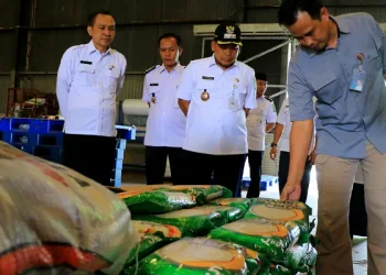Harga Beras Melonjak, Begini Kata Pj Wali Kota Tangerang