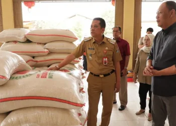 Pj Bupati Tangerang Tinjau Gudang Beras, Pastikan Stok Aman dan Harga Terjangkau