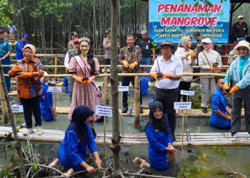 Pj Gubernur Banten Tanam Mangrove di Teluk Banten
