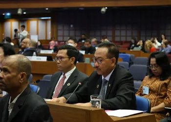 Otorita IKN Akan Soft Launching VLR SDGs Nusantara di Forum PBB