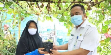 Perkuat Ketahanan Pangan DKP Kota Tangerang Berikan Bibit Gratis Kepada Masyarakat