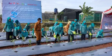 PKK Provinsi Banten Tanam 16.600 Bibit Cabai