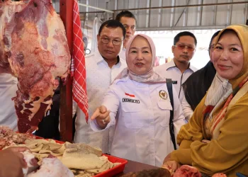 Harga Pangan Naik Jelang Ramadhan, DPR RI Minta Masyarakat Tidak Panik