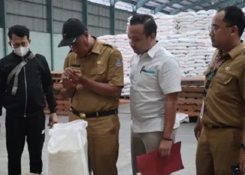 DPKP Kabupaten Tangerang Pastikan Beras Bantuan Layak Konsumsi