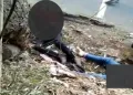 Bertengkar Saat Berkendara Motor, Sepasang Pria dan Wanita Tewas Tabrak Pohon di Ciputat Tangsel
