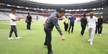 PSSI Soroti Rumput Stadion GBK Jelang Timnas Indonesia Hadapi Dua Laga Kualifikasi Piala Dunia