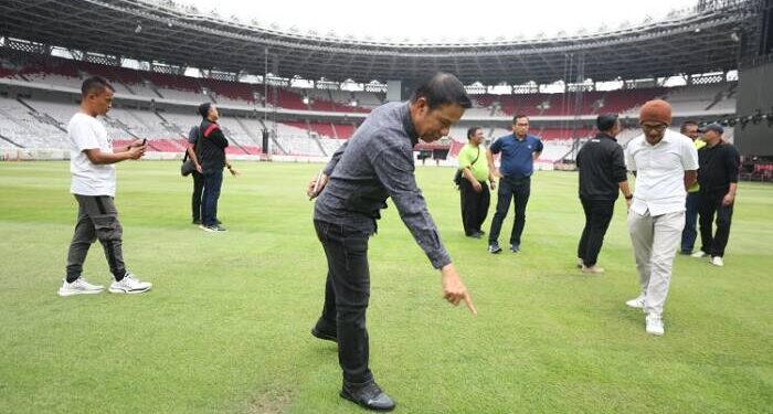 PSSI Soroti Rumput Stadion GBK Jelang Timnas Indonesia Hadapi Dua Laga Kualifikasi Piala Dunia