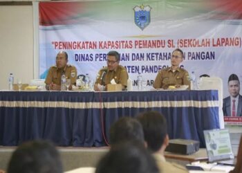 Sekolah Lapang Tingkatkan Kapasitas Para Penyuluh