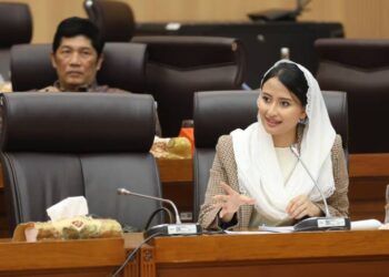 Terus Perkuat Ekosistem EV, Komisi VII DPR RI Apresiasi Kinerja PLN
