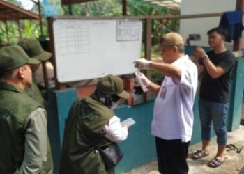 Pemkot Tangsel Klaim Telah Periksa 3.388 Hewan Kurban