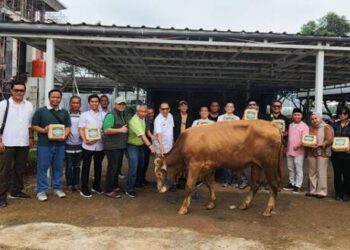 Moment Idul Adha 1445 Hijriah, Yayasan Muslim Sinar Mas Land Distribusikan 481 Hewan Kurban Kepada Masyarakat